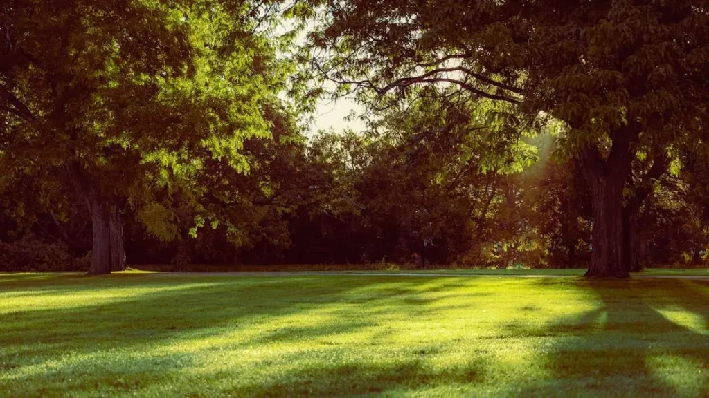 12 Best Parks and Outdoor Spaces in Alliston